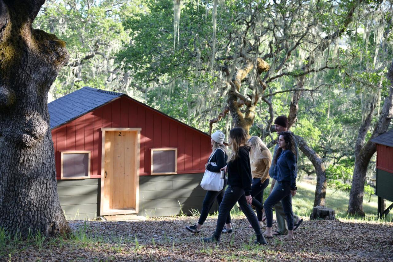 The Camp At כרמל ואלי מראה חיצוני תמונה